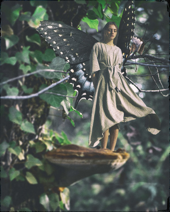A young faery stands on a tree mushroom, looking into the distance. What could trouble her so?