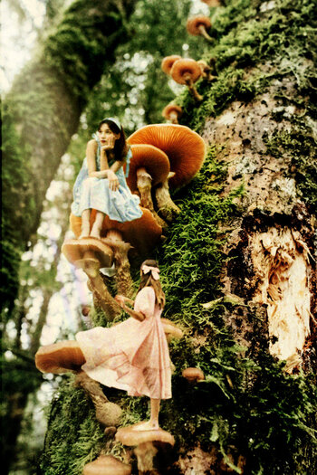 A sunlit tree with two fairies in it. One is sitting on a mushroom in thought, the other standing and looking at the first.